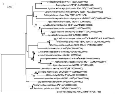 Azohydromonas caseinilytica sp. nov., a Nitrogen-Fixing Bacterium Isolated From Forest Soil by Using Optimized Culture Method